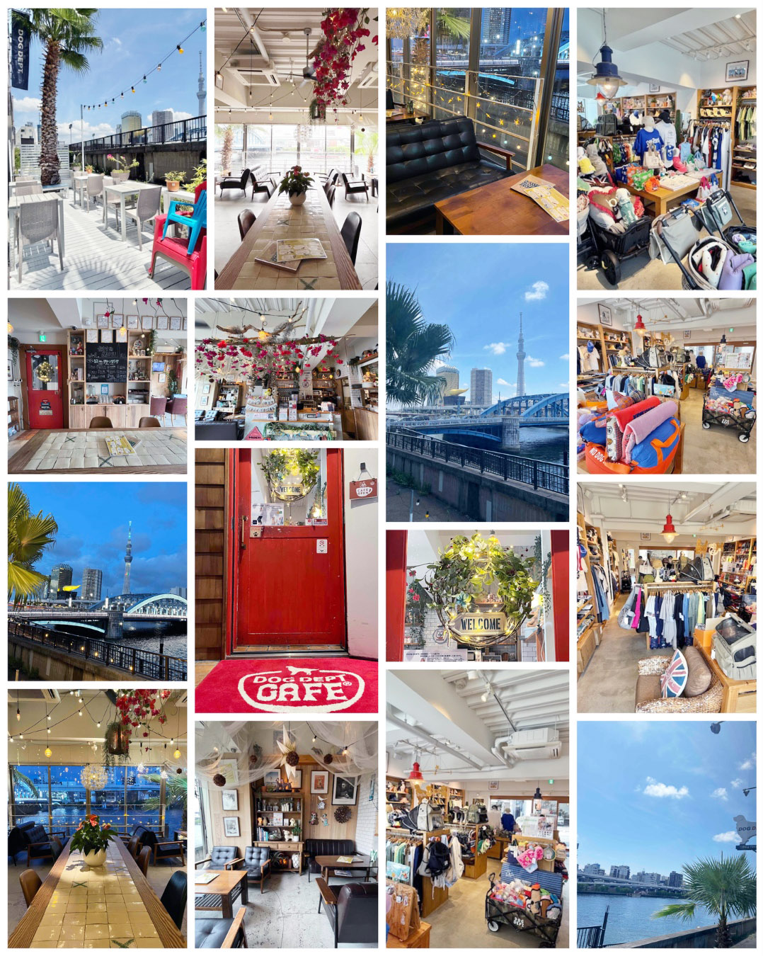 DOGDEPT 浅草 隅田川テラス店 メニュー表